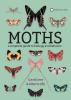 Moths