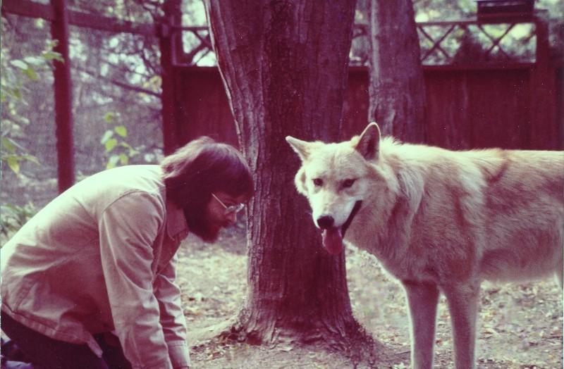 large photo of man with wolf